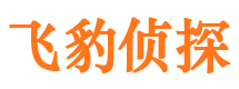 鹤城外遇出轨调查取证